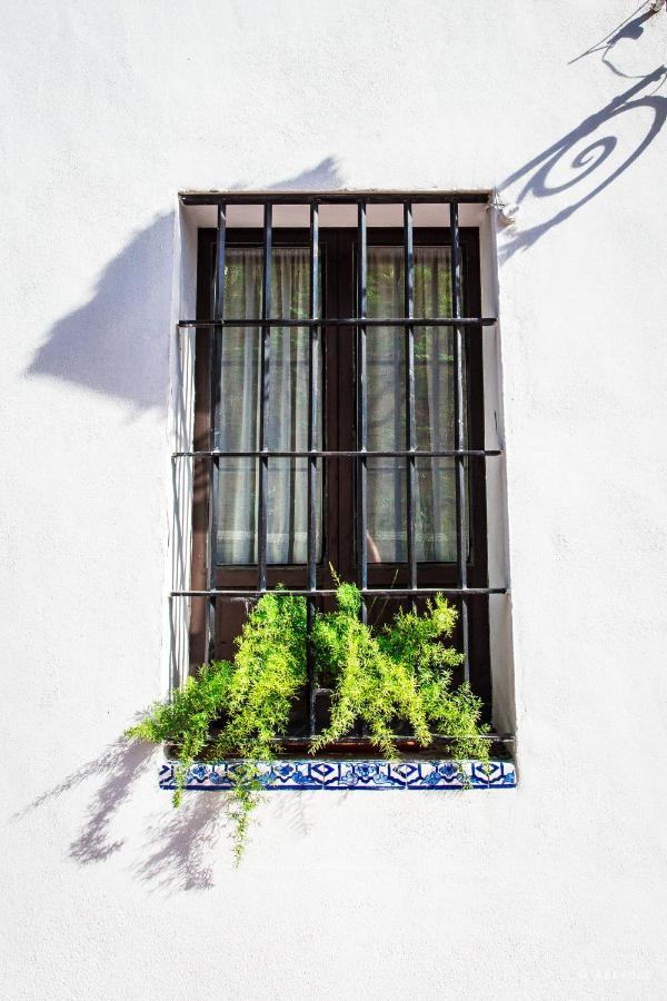 Casa Del Siglo XVII Villa Seville Ngoại thất bức ảnh